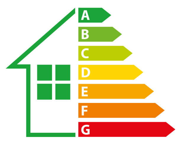 DPE Logo